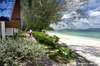 Coral Island Resort 